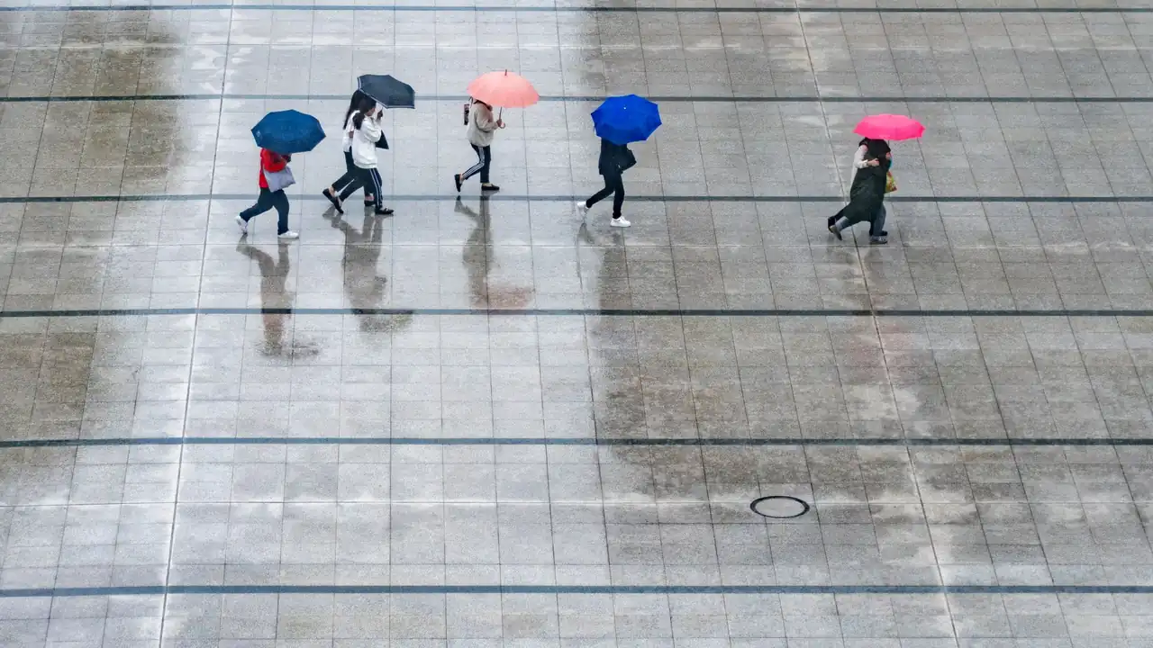 禁曼天堂是什么及实际使用情况说明